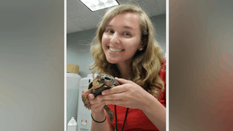 霍莉·特罗施在卡内基科学中心Internships时，在幕后抱着一只乌龟.